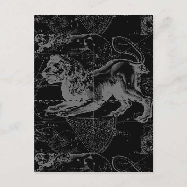 Leo Constellation Hevelius Dekor 1690 Postkarte (Vorderseite)
