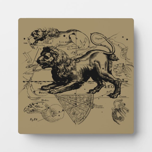 Leo Constellation Map Hevelius 1690 auf Taupe Fotoplatte (Vorderseite)