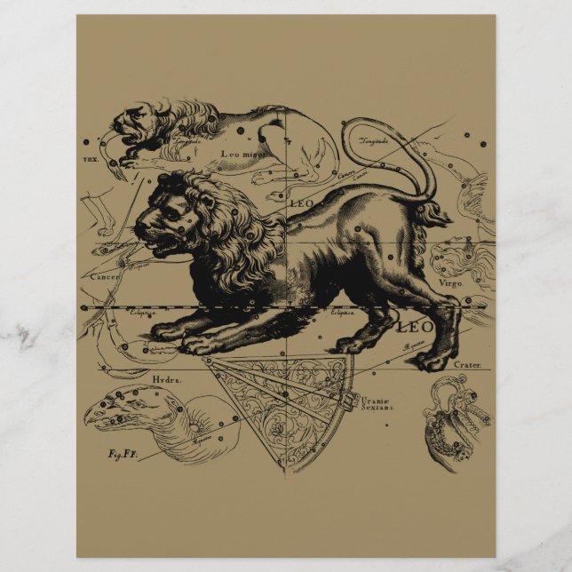 Leo Constellation Map Hevelius circa 1690 (Vorderseite)