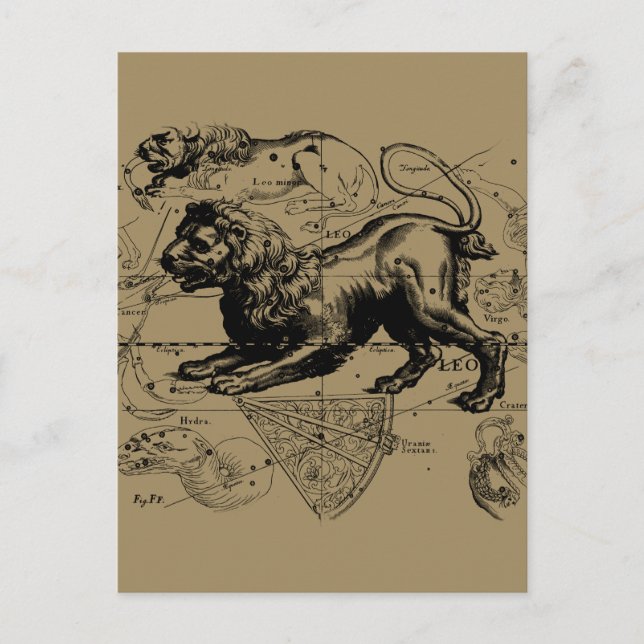 Leo Constellation Map Hevelius circa 1690 Postkarte (Vorderseite)