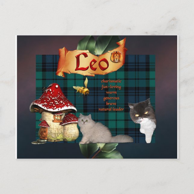 Leo-Fotosignatur-Postkarte Postkarte (Vorderseite)