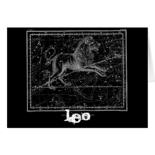 Leo, le Lion (Devant horizontal)