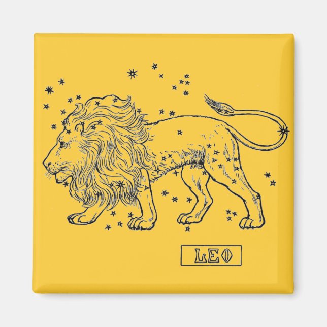 Leo Magnet (Vorne)