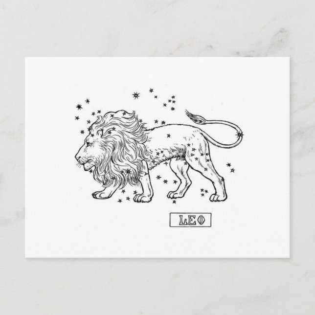 Leo Postkarte (Vorderseite)