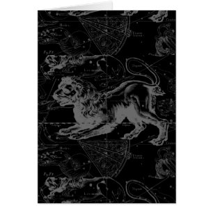 Leo Sternbild Hevelius 1690 Dekor