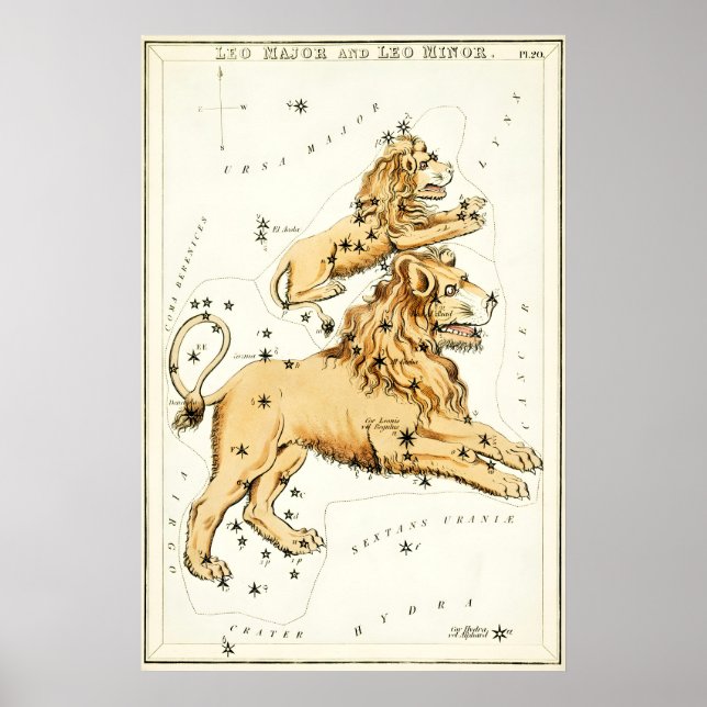 Leo Sternbild Kunstdruck Antik Poster (Vorne)