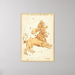 Leo The Lion - Vintages Zeichen des Zodiac-Bildes Leinwanddruck
