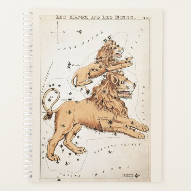Leo zodiac céleste (Devant)