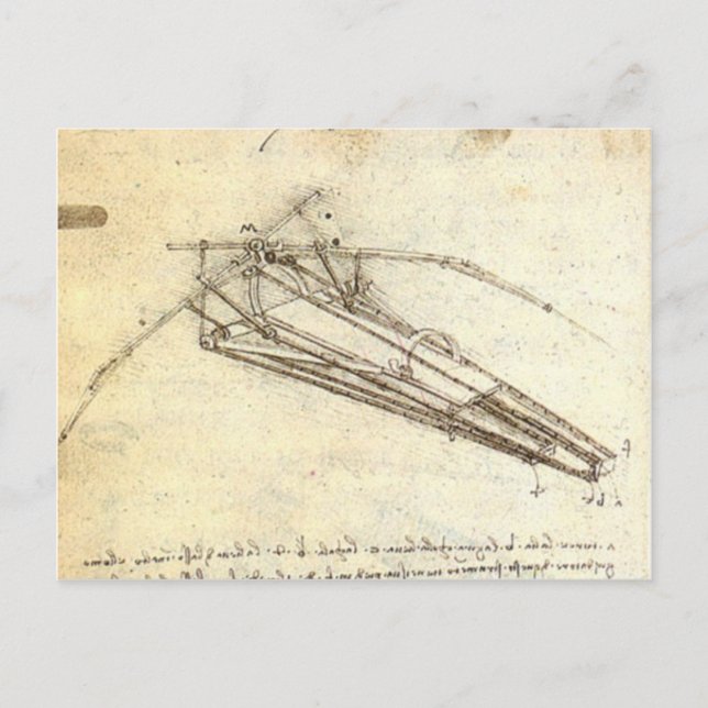 Leonardo da Vinci - Design für eine Flugmaschine Postkarte (Vorderseite)