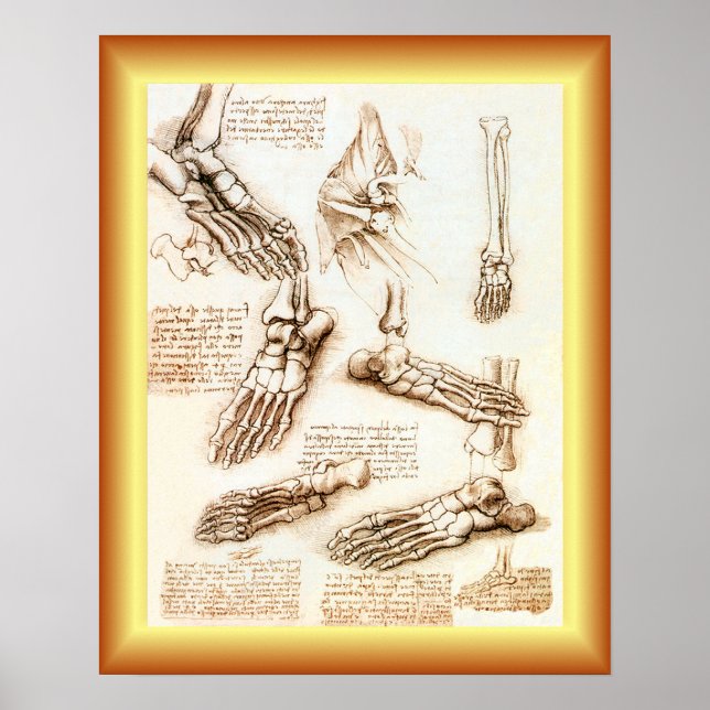 Leonardo da Vinci ~ Fußanatomie ~ Poster (Vorne)