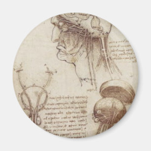 Leonardo da Vinci - Gehirnphysiologie Magnet