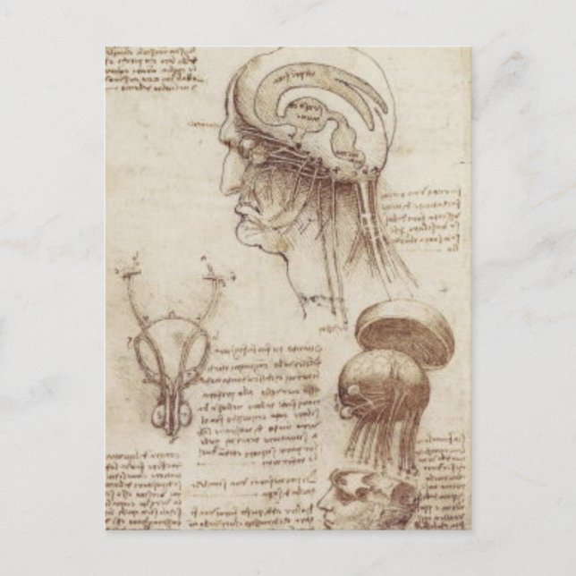 Leonardo da Vinci - Hirnphysiologie Postkarte (Vorderseite)