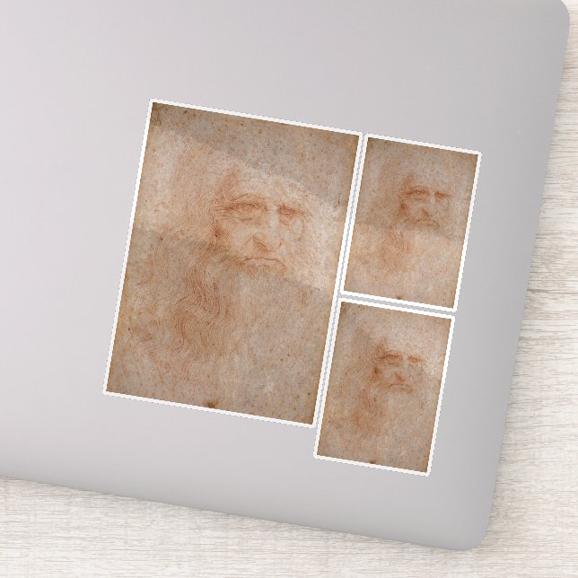 Leonardo Da Vinci, mutmaßliches Selbstportrait Aufkleber (Detail)
