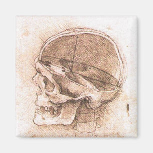 Leonardo da Vinci Skull Anatomie Kunst Magnet