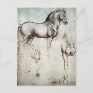 Leonardo da Vinci - Studie eines Pferdes Postkarte