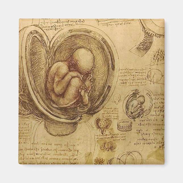 Leonardo Da Vinci - Studie über Anatomie Magnet (Vorne)