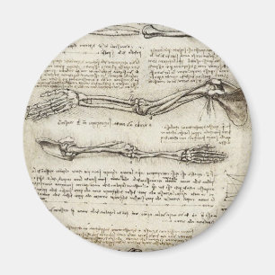 Leonardo da Vinci - Studien der Arm-Grafik Magnet