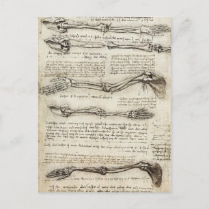 Leonardo da Vinci - Studien des Arms Kunstwerk Postkarte