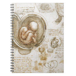 Leonardo da Vinci Studien des Fötus in der Gebärmu Notizblock