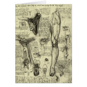 Leonardo da Vinci Vintage Anatomie humaine Larynx 