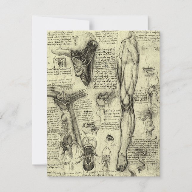 Leonardo da Vinci Vintage menschliche Anatomie Lar (Vorderseite)