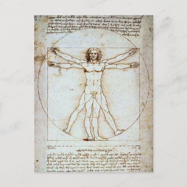 LEONARDO DA VINCI ... VITRUVIAN MAN POSTCARD POSTKARTE (Vorderseite)