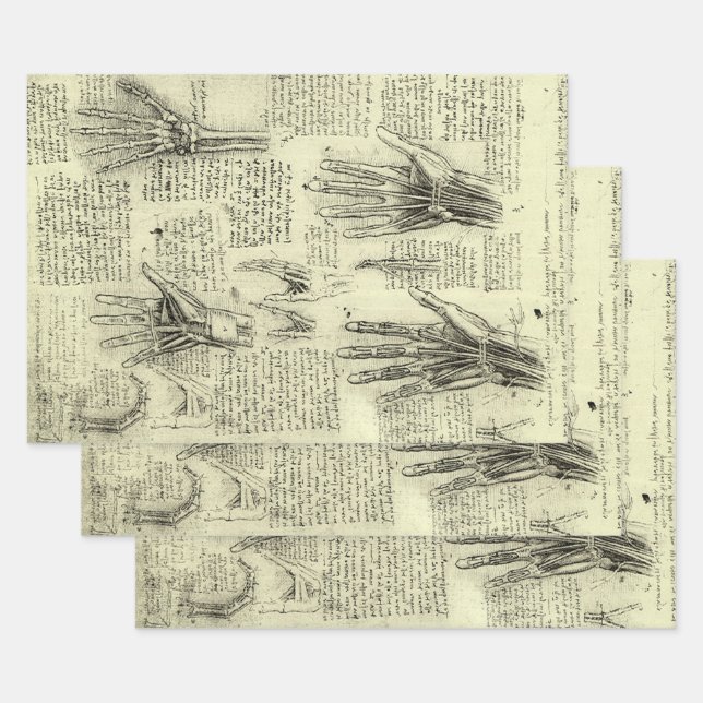 Leonardo da Vincis Anatomie der menschlichen Hand Geschenkpapier Set (Set)