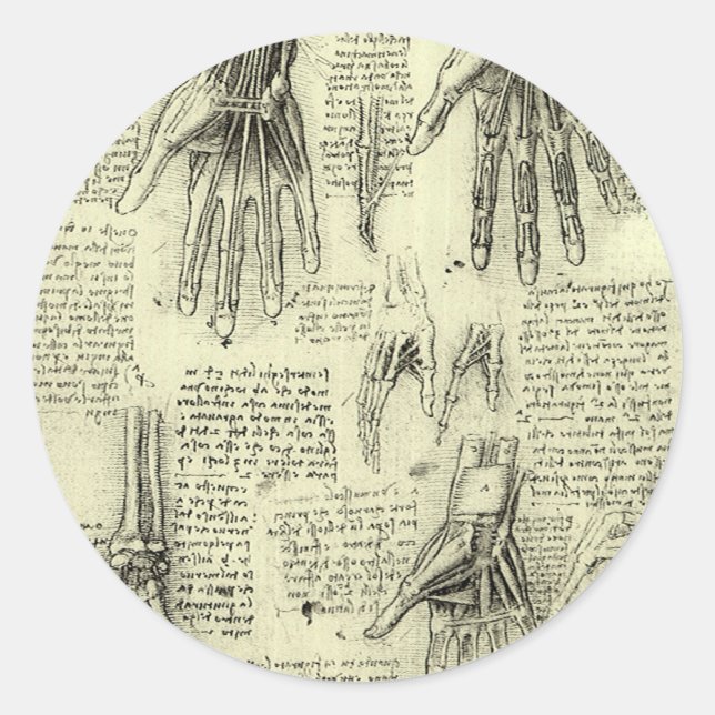 Leonardo da Vincis Anatomie der menschlichen Hand Runder Aufkleber (Vorderseite)