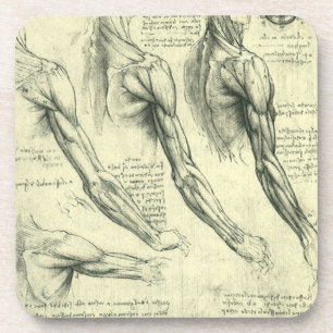 Leonardo da Vincis Anatomie des Arms und der Schul Untersetzer