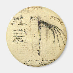 Leonardo da Vincis Flügel auf der Skizze einer Flu Magnet