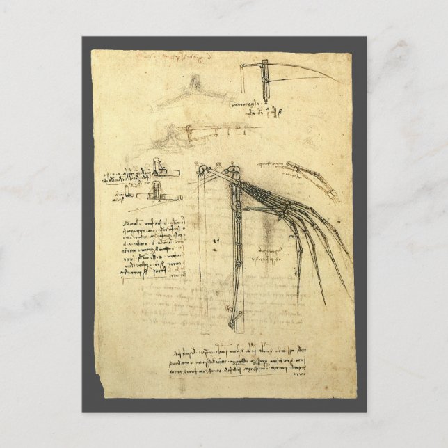 Leonardo da Vincis Flügelmaschinenkizze Postkarte (Vorderseite)