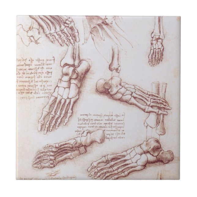 Leonardo da Vincis menschliche Anatomie Fliese (Vorderseite)