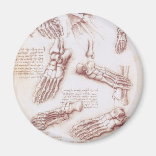 Leonardo da Vincis menschliche Anatomie Fußknochen Magnet