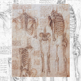 Leonardo da Vincis menschliche Anatomie Skelettkno
