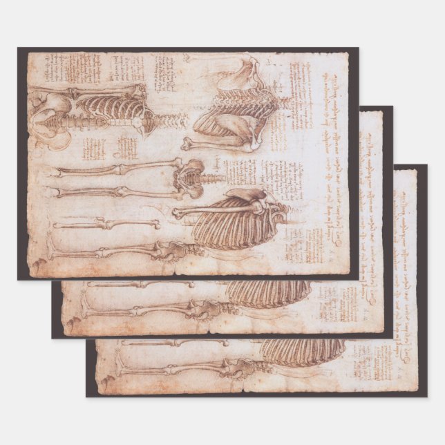 Leonardo da Vincis menschliche Anatomie Skelettkno Geschenkpapier Set (Set)