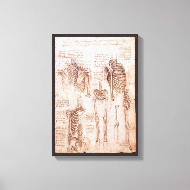 Leonardo da Vincis menschliche Anatomie Skelettkno Leinwanddruck (Vorderseite)