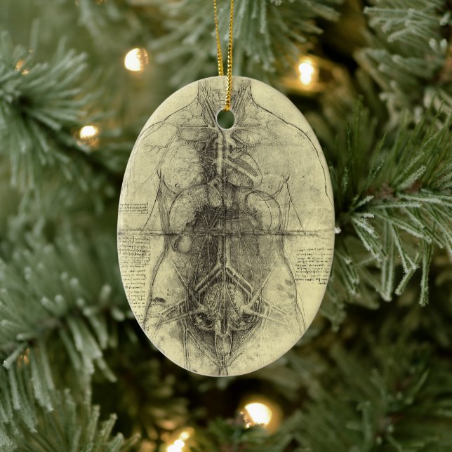 Leonardo da Vincis menschliche Anatomie, weibliche Keramikornament (Baum)