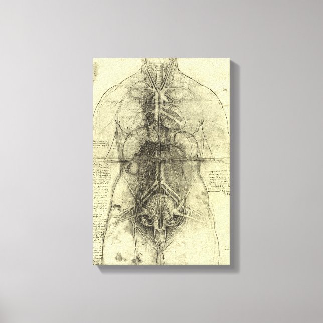 Leonardo da Vincis menschliche Anatomie, weibliche Leinwanddruck (Vorderseite)
