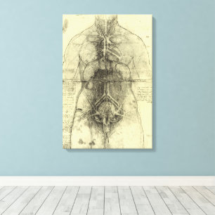 Leonardo da Vincis menschliche Anatomie, weibliche Leinwanddruck