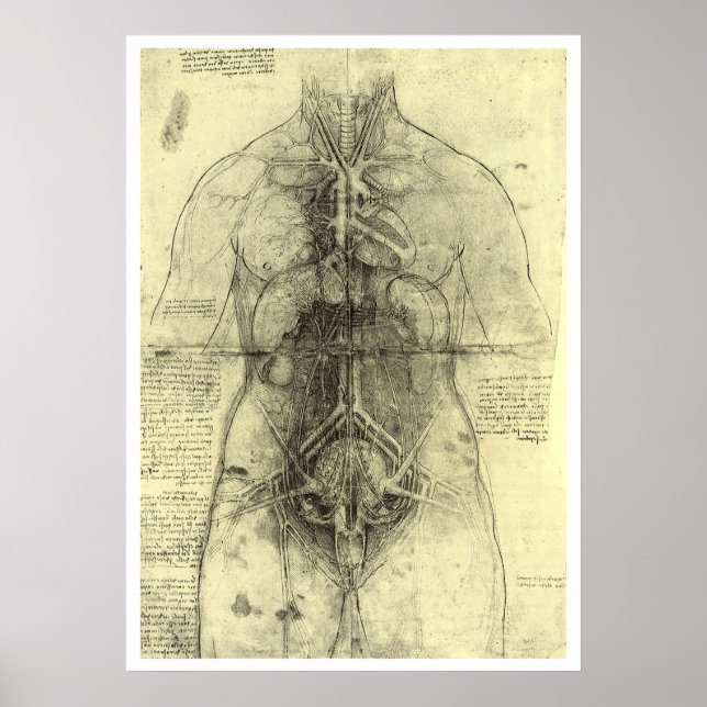 Leonardo da Vincis menschliche Anatomie, weibliche Poster (Vorne)