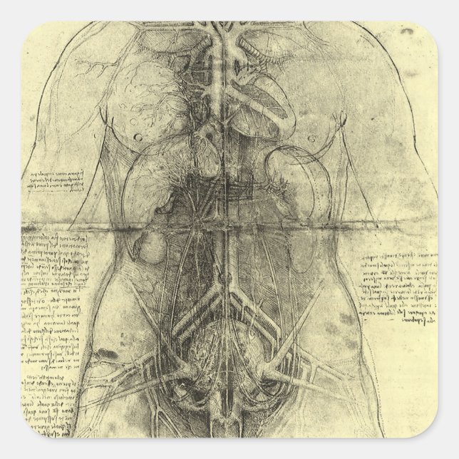 Leonardo da Vincis menschliche Anatomie, weibliche Quadratischer Aufkleber (Vorderseite)