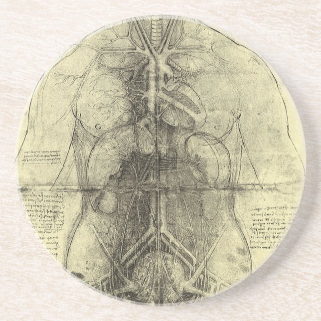 Leonardo da Vincis menschliche Anatomie, weibliche Sandstein Untersetzer (Vorne)
