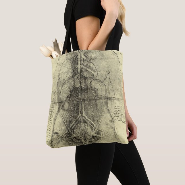 Leonardo da Vincis menschliche Anatomie, weibliche Tasche (Von Nahem)