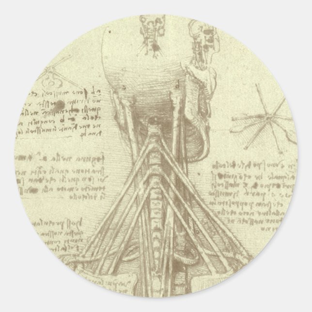 Leonardo da Vincis menschliche Anatomie-Wirbelsäul Runder Aufkleber (Vorderseite)