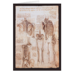 Leonardo da Vincis menschliches Skelett Knochen de