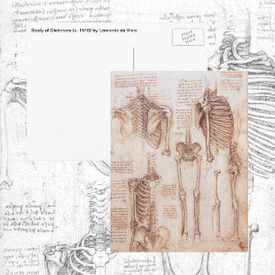 Leonardo da Vincis menschliches Skelett Knochen de Postkarte