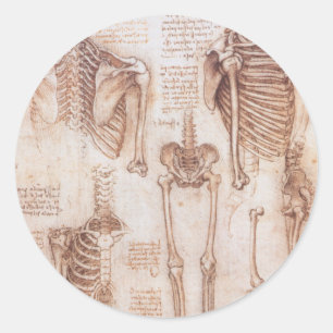 Leonardo da Vincis menschliches Skelett Knochen de Runder Aufkleber