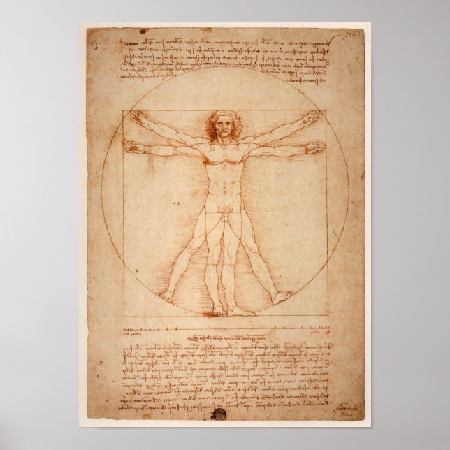 Leonardo de Vinci Zeichnend Poster (Vorne)