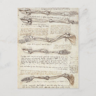 Leonardo Limb Postcard Postkarte