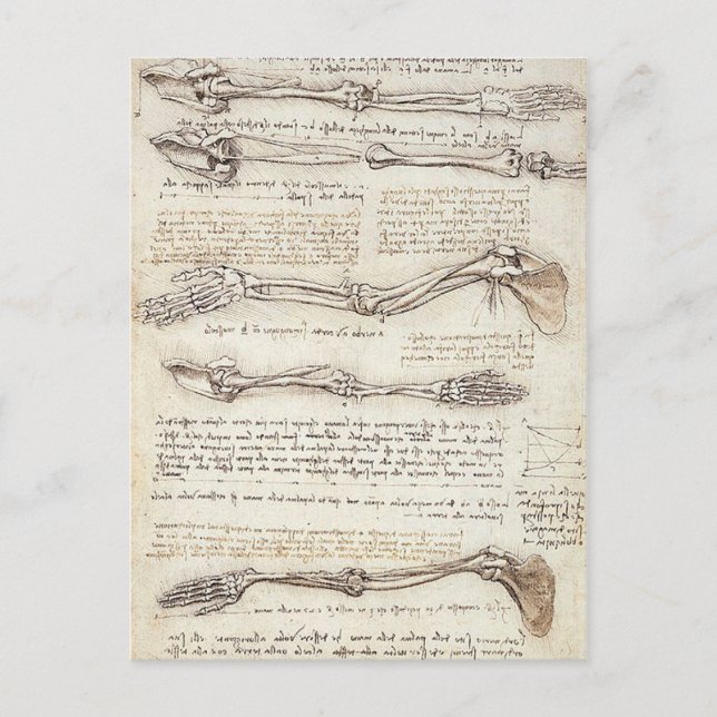 Leonardo Limb Postcard Postkarte (Vorderseite)